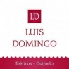 Luis Domingo